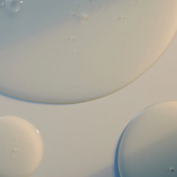 Salt & Stone Body Wash - Bergamot & Hinoki